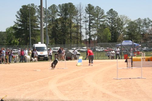 agility demo