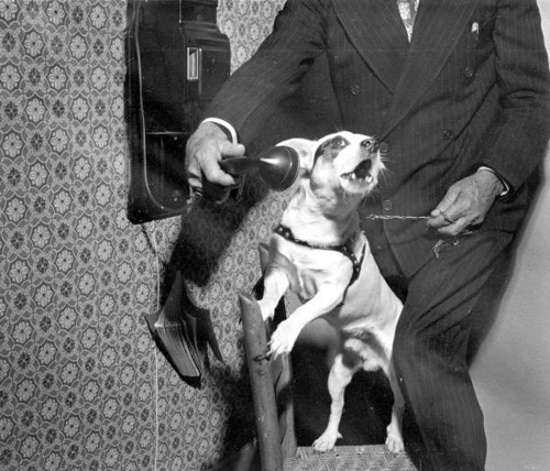 vintagephotos3 vintagephotos3