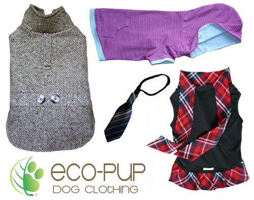 ecopup1