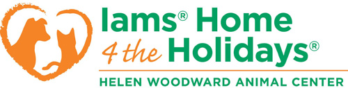 IH4THlogo2