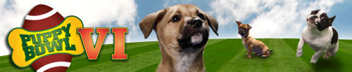 puppybowl