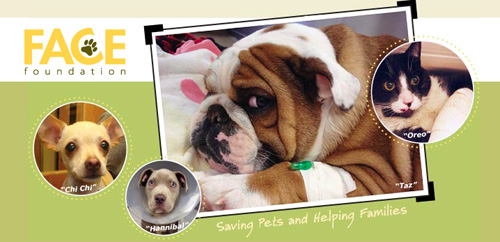 FACE_foundation