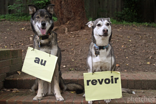 aurevoir_1
